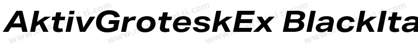 AktivGroteskEx BlackItalic字体转换